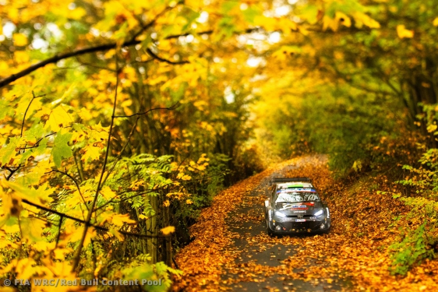 Ogier and Evans resume duel at Central Europe