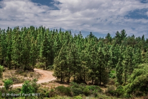 M-Sport rounds off WRC Season in Sardinia