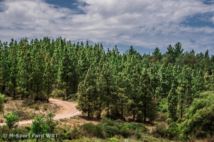 M-Sport rounds off WRC Season in Sardinia