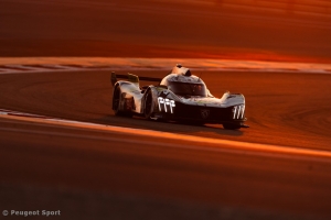 Team Peugeot - A disappointing conclusion in Bahrain