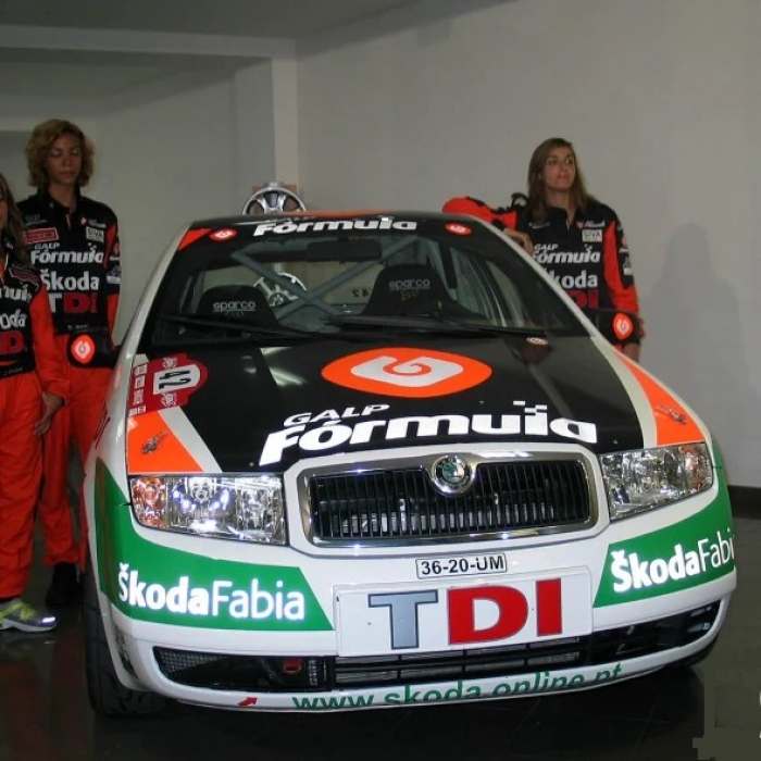 Manuel Alves e Alexandre Gomes no Rali Vidreiro